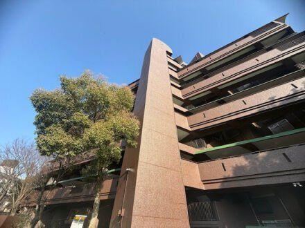 2LDK+S apartment in Chuo Ward, Kumamoto - Photo 1