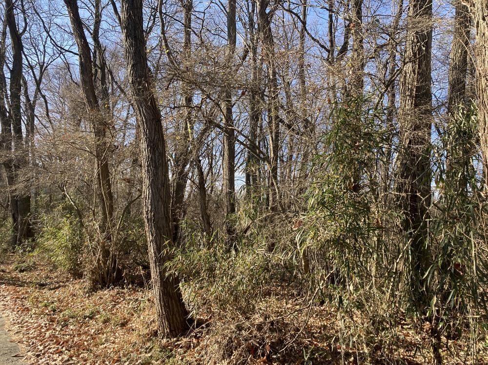 941 m² land in Komoro, Nagano - Photo 1