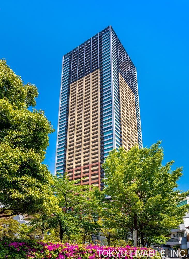 3LDK apartment in Toshima Ward, Tokyo - Photo 1