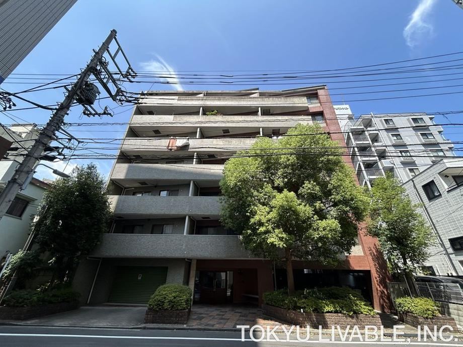 3LDK apartment in Taito Ward, Tokyo - Photo 1
