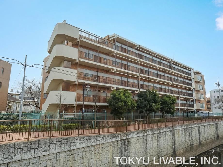 3LDK apartment in Suginami Ward, Tokyo - Photo 1