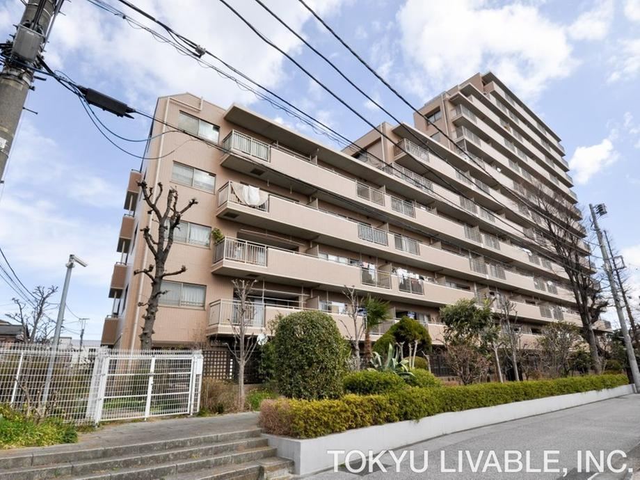 3LDK apartment in Adachi Ward, Tokyo - Photo 1