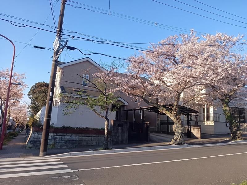 6LLDDKK house in Zushi, Kanagawa - Photo 1