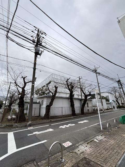 3LDK apartment in Setagaya Ward, Tokyo - Photo 1