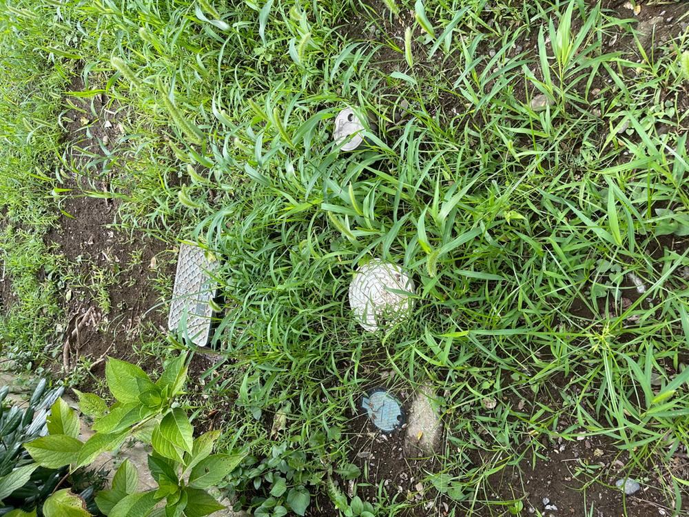 333 m² land in Ami, Inashiki District, Ibaraki - Photo 1