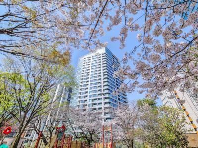 2LDK apartment in Minato Ward, Tokyo - Photo 1