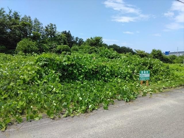 298 m² land in Hashikami, Sannohe District, Aomori - Photo 1