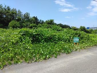 plot of land in Sannohe District