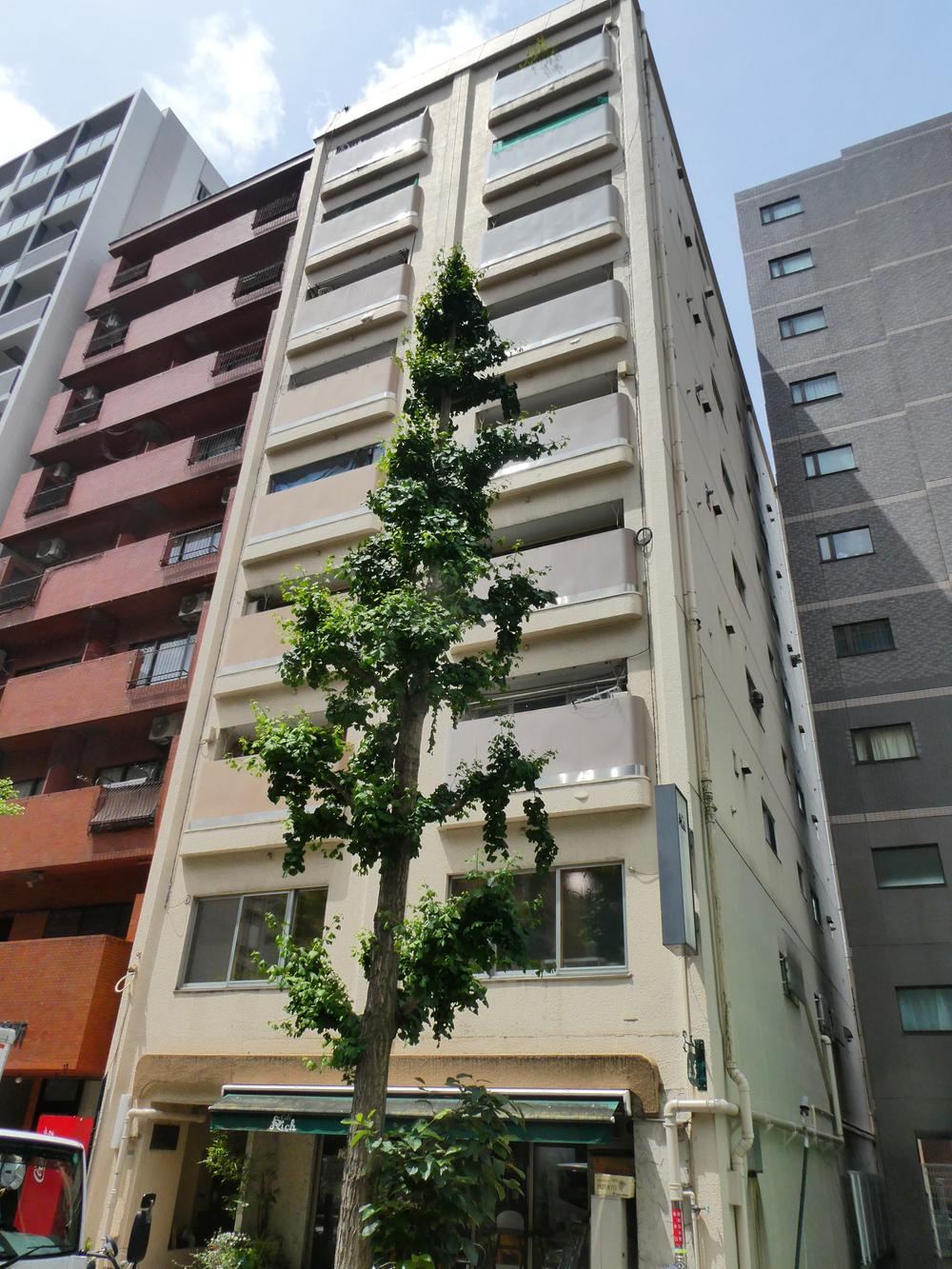 1DK apartment in Bunkyo Ward, Tokyo - Photo 1