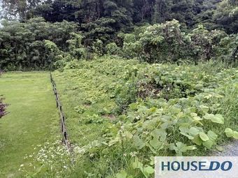 plot of land in Hokota