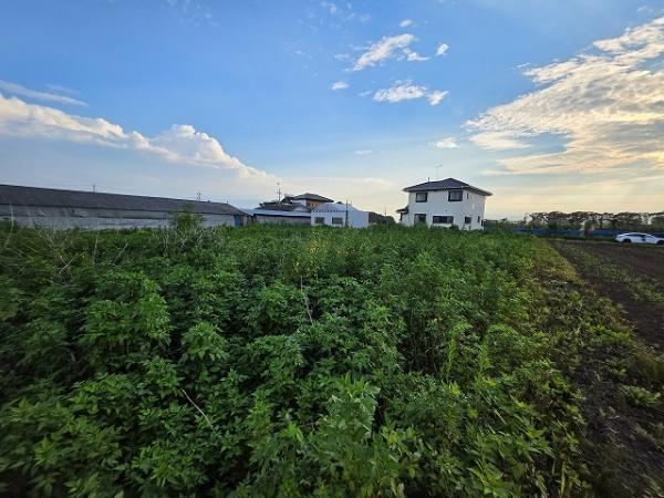 1738 m² land in Chikusei, Ibaraki - Photo 1