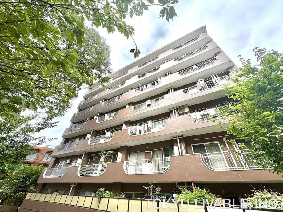 1LDK apartment in Setagaya Ward, Tokyo - Photo 1