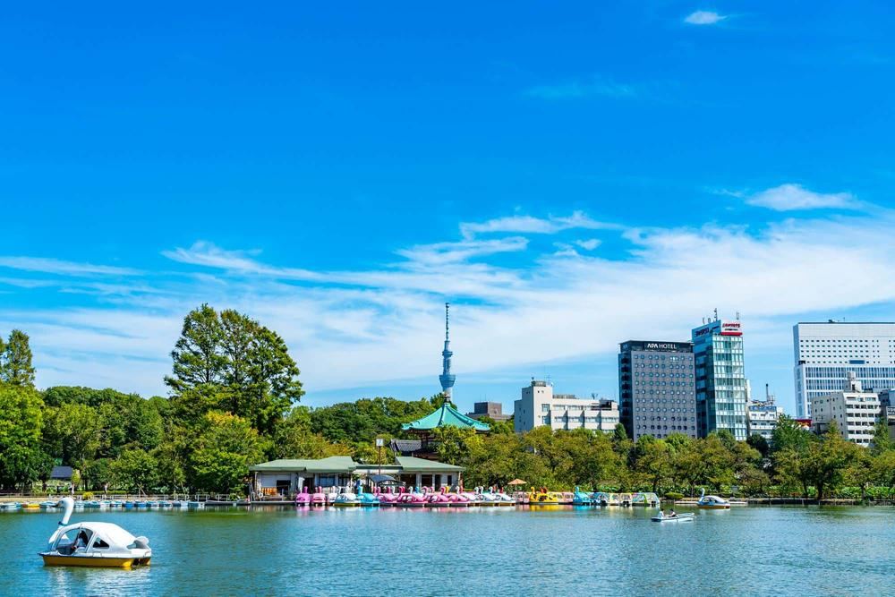 51 m² land in Taito Ward, Tokyo - Photo 1