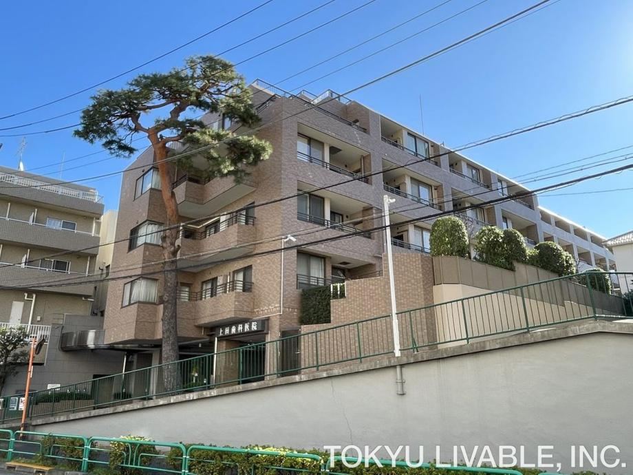 2LDK+S apartment in Suginami Ward, Tokyo - Photo 1