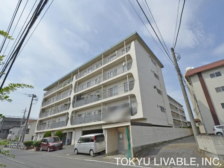 3LDK apartment in Matsudo, Chiba - Photo 1