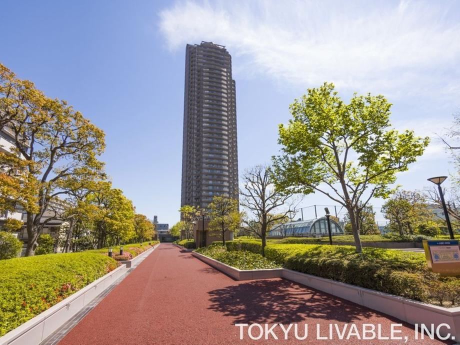 3LDK apartment in Koto Ward, Tokyo - Photo 1