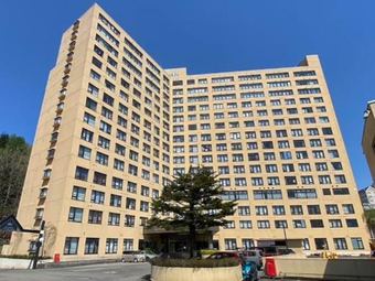 1K apartment in Yuzawa, Minamiuonuma District