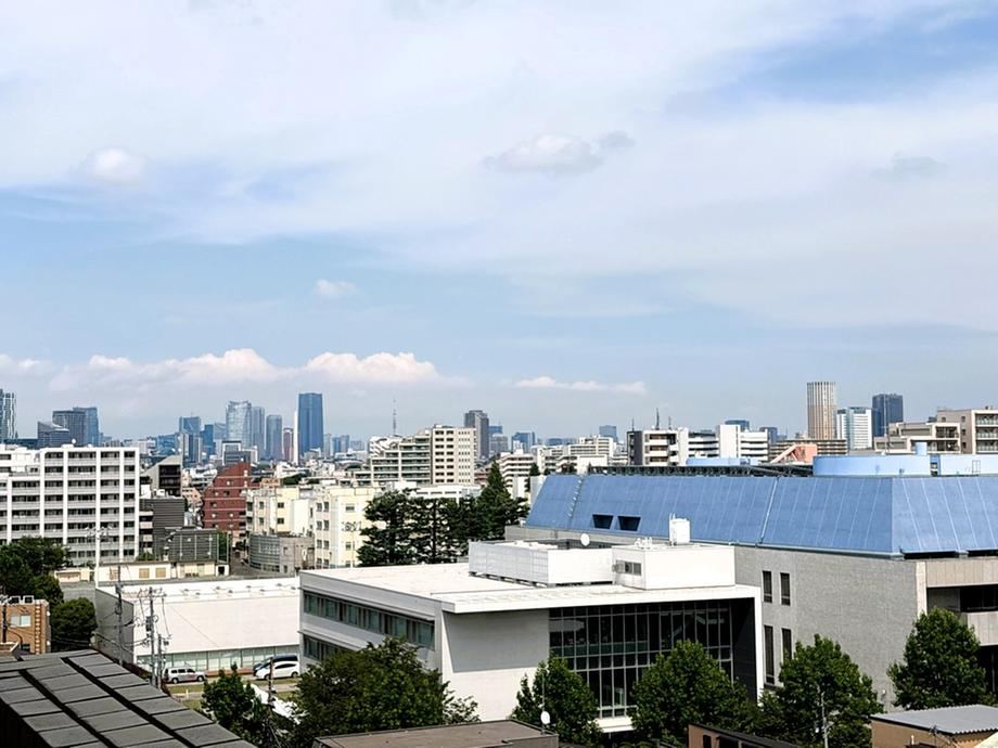 1LDK apartment in Setagaya Ward, Tokyo - Photo 1