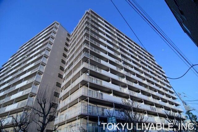 3LDK apartment in Koto Ward, Tokyo - Photo 1