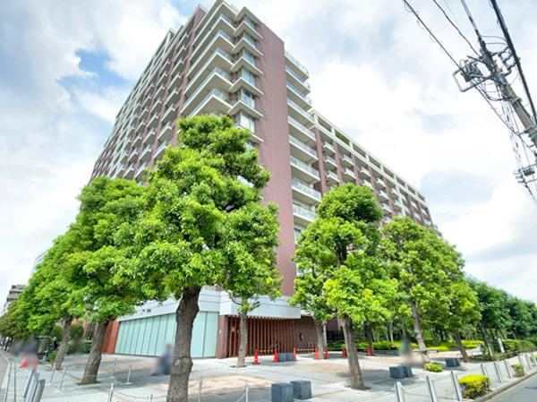3LDK apartment in Itabashi Ward, Tokyo - Photo 1