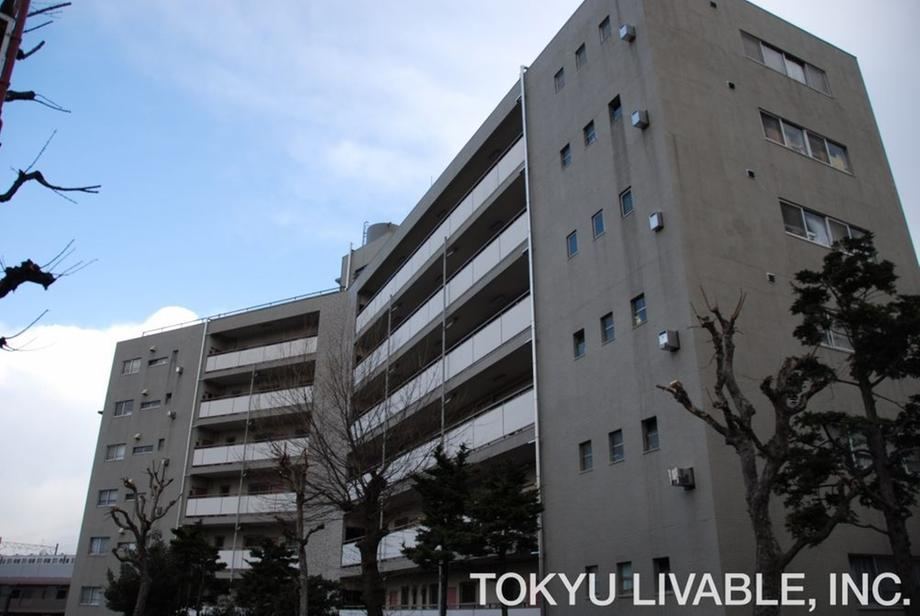 3LDK apartment in Miyamae Ward, Kawasaki, Kanagawa - Photo 1