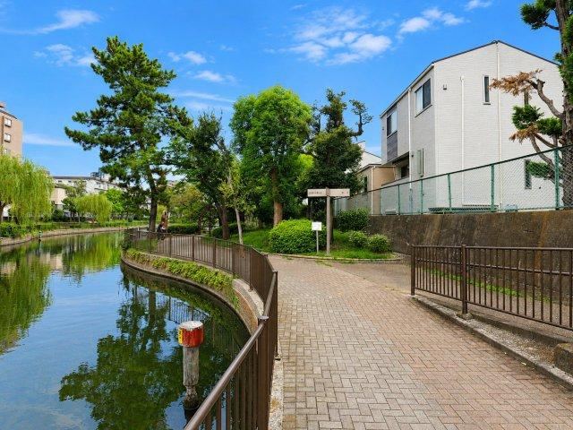 3LDK+S house in Koto Ward, Tokyo - Photo 1