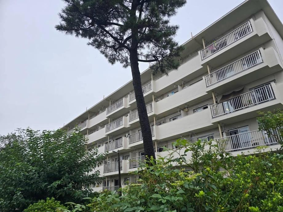 2LDK apartment in Minami Ward, Sagamihara, Kanagawa - Photo 1