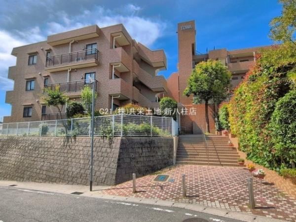 3LDK apartment in Matsudo, Chiba - Photo 1