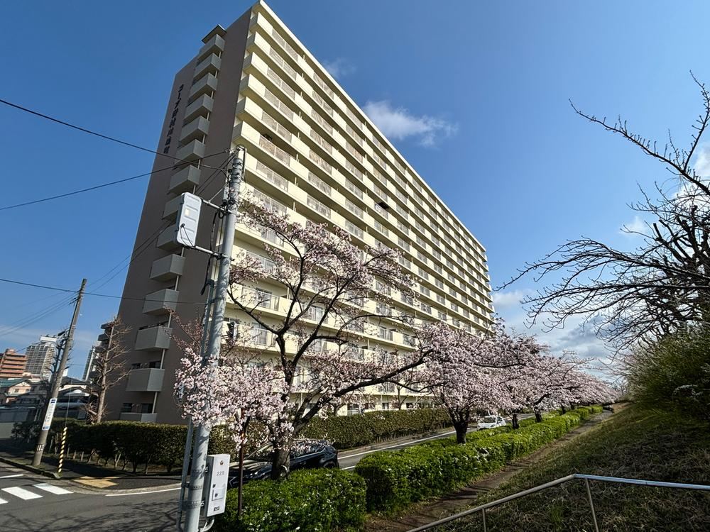 1LDK+S apartment in Chuo Ward, Niigata - Photo 1