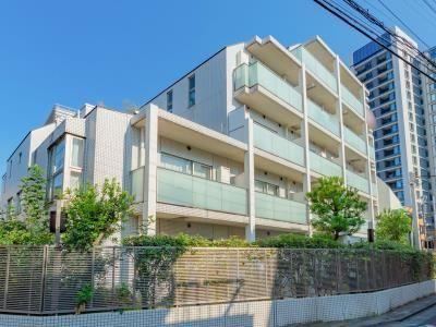 1LDK apartment in Minato Ward, Tokyo - Photo 1