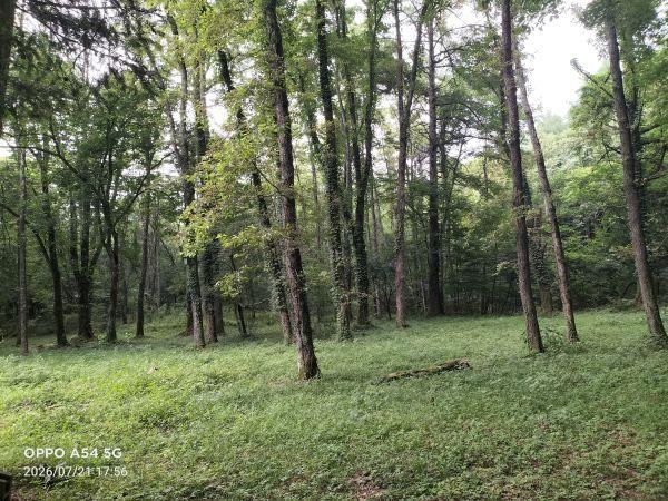 1269 m² land in Hara, Suwa District, Nagano - Photo 1