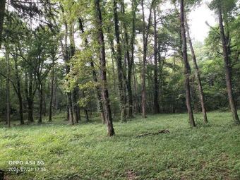 plot of land in Suwa District