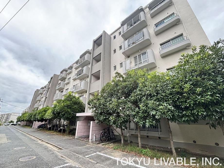 2LDK apartment in Minami Ward, Fukuoka - Photo 1