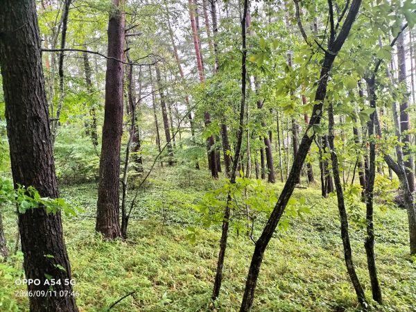 1020 m² land in Fujimi, Suwa District, Nagano - Photo 1