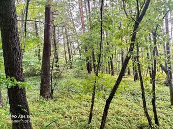 plot of land in Suwa District