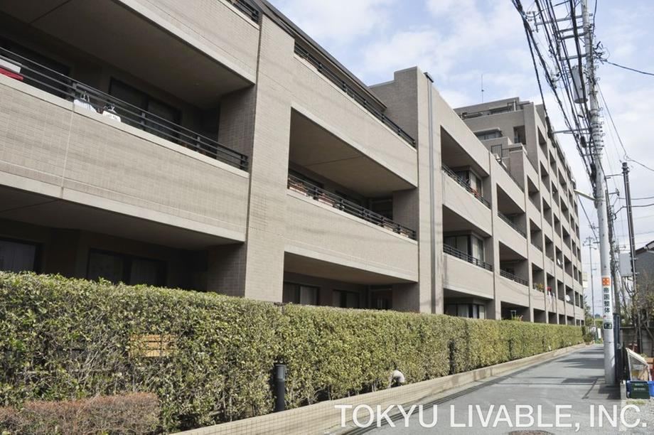 3LDK apartment in Takatsu Ward, Kawasaki, Kanagawa - Photo 1