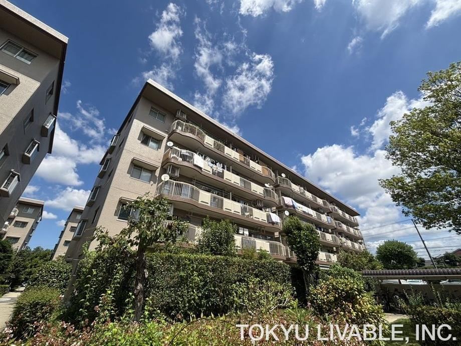 3LDK apartment in Higashi Ward, Nagoya, Aichi - Photo 1