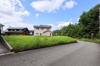plot of land in Nomi