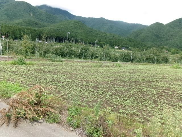 3195 m² land in Azumino, Nagano - Photo 1
