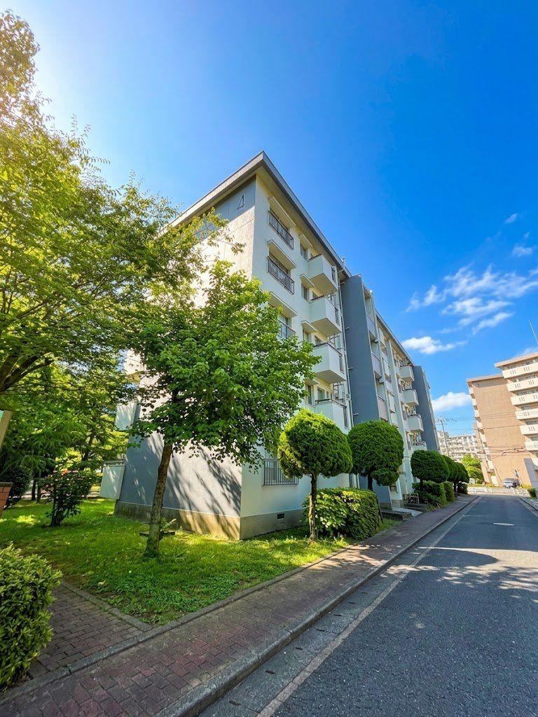 3LDK apartment in Chuo Ward, Fukuoka - Photo 1