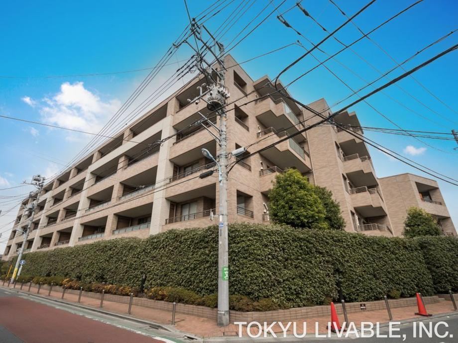 3LDK apartment in Suginami Ward, Tokyo - Photo 1