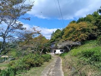 5DK house in Kume District