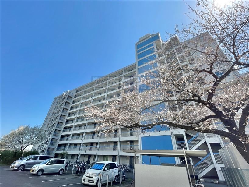 2LDK apartment in Tokorozawa, Saitama - Photo 1