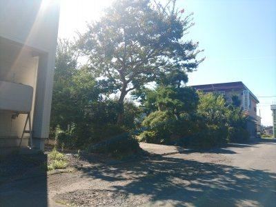265 m² land in Hirosaki, Aomori - Photo 1