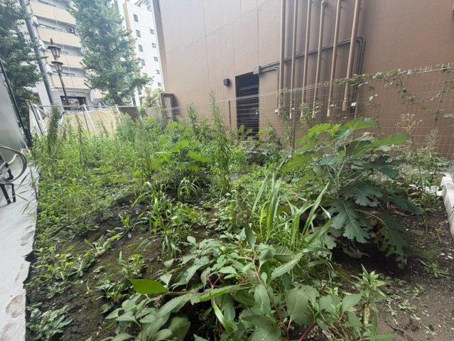 42 m² land in Shibuya Ward, Tokyo - Photo 1