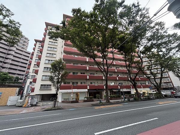 1LDK apartment in Chuo Ward, Fukuoka - Photo 1