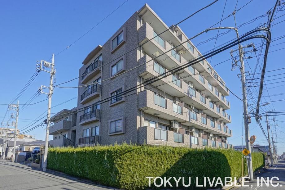 3LDK apartment in Hachioji, Tokyo - Photo 1