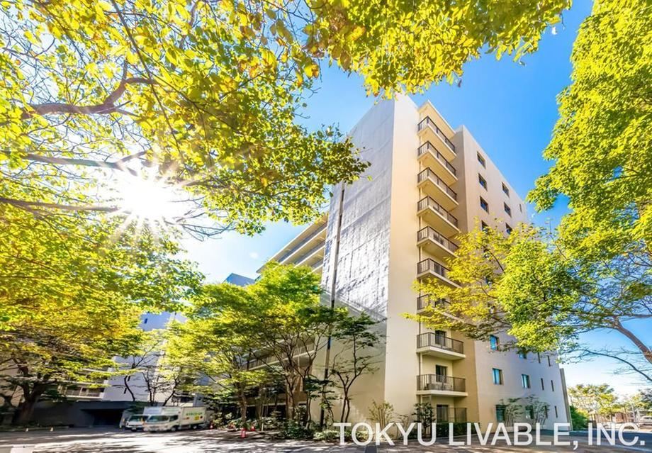 3LDK apartment in Totsuka Ward, Yokohama, Kanagawa - Photo 1