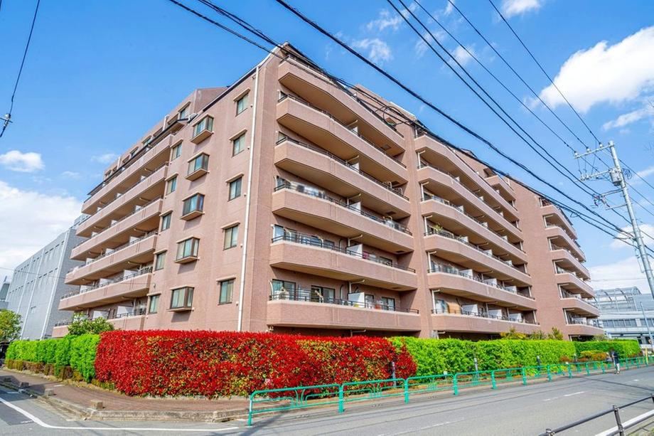 3LDK apartment in Suginami Ward, Tokyo - Photo 1