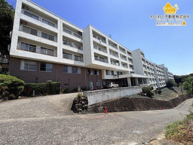 1LDK apartment in Ito, Shizuoka - Photo 1